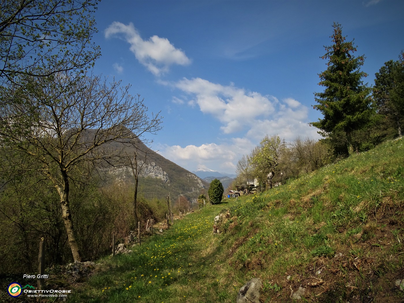 79 Seguiamo labile traccia nel prato privato di Casa Castello (600 m)...JPG